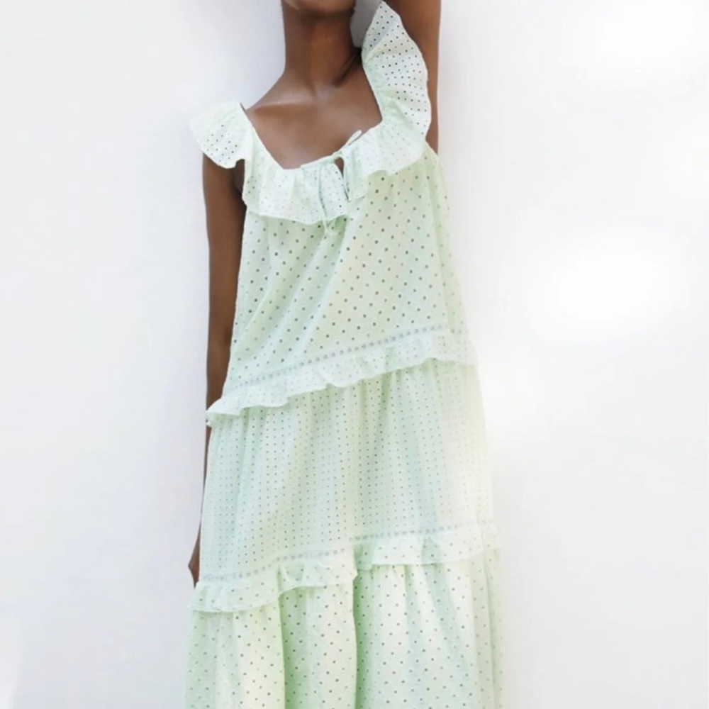 Zara Embroidered Lace Midi Dress NWT L